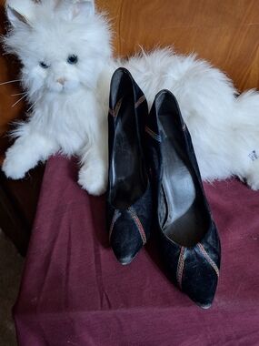 Black Pointed-Toe Suede Pumps with Rainbow Stitch Detail